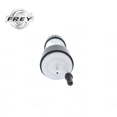 In Stock Petrol Filter OE 16127236941 For BMW X5 X6 E70 E71 F15 F16 ENGINE N55 N63 S63 FUEL FILTER